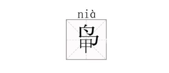 有人姓“茍” 擔(dān)心孩子受嘲笑而改姓