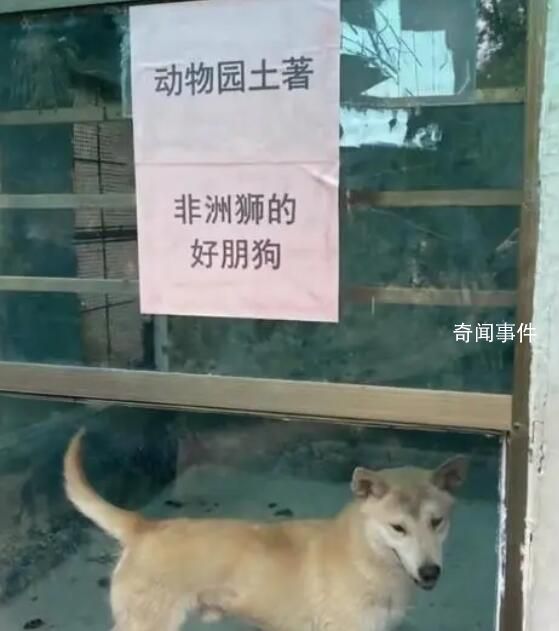 動物園回應圈養雞羊狗:珍惜品種