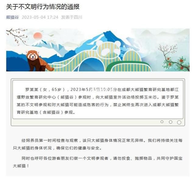 大媽給熊貓投喂玉米芯被禁止參觀 禁止其終生再次進(jìn)入