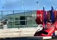 智利總統玩滑梯被卡住 掙扎了一陣才脫身