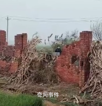 6歲娃意外死亡父親收3萬簽諒解書 媽媽：自己沒簽字目前已離婚