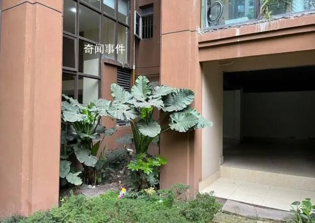 姐弟墜亡案被告翻供稱(chēng)“有精神病” 做人應(yīng)該有起碼的良知