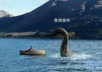 加拿大水怪奧古布古未解之謎 奧古布古水怪長(zhǎng)什么樣子