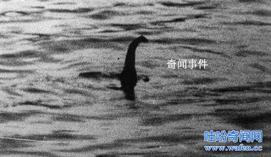 尼斯湖水怪真的存在嗎 尼斯湖水怪之謎的真相