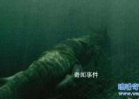 青海湖水怪之謎揭開(kāi) 青海湖水怪真的存在嗎
