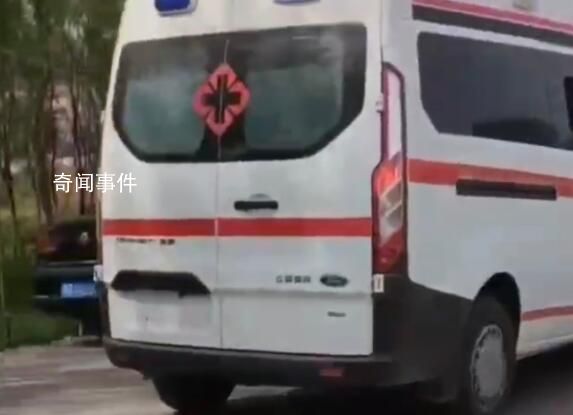 美向中方返還重要文物 外交部回應