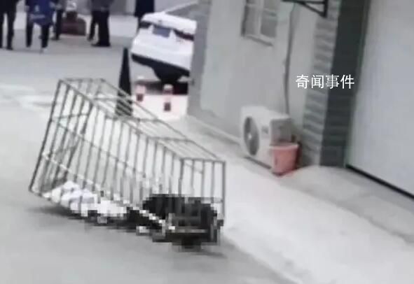 男子隨防盜網(wǎng)從六樓墜落身亡 作業(yè)時沒有系安全繩
