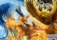 上古神獸鳳凰原型未解之謎 鳳凰原型是什么動物
