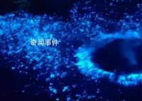 浙江多地海邊現
