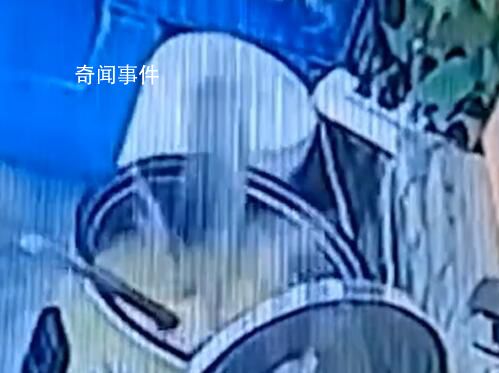 魚缸里的魚一躍跳進(jìn)一鍋粥里 魚正巧跳進(jìn)鍋里不幸喪生