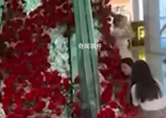 商場(chǎng)520花海被顧客一搶而光 商場(chǎng)已報(bào)警處理
