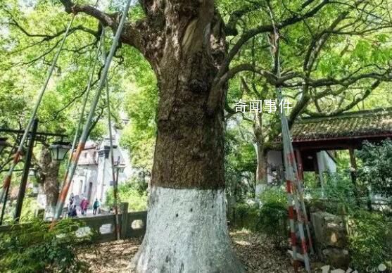 外婆給慈善組織捐了1000萬 只希望捐贈發揮價值深藏功與名