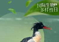 國(guó)際生物多樣性日 讓我們同心共建一個(gè)美麗的地球家園