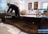 黑海史前古船不腐爛之謎 阿托卡夫人號(hào)沉船寶藏在哪里