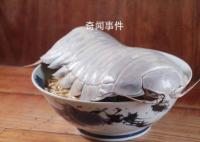 臺(tái)灣推出大王具足蟲拉面 大王具足蟲可以吃嗎