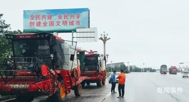 誰拖了河南麥?zhǔn)蘸笸?媒體梳理分析