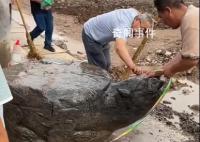 村莊修路挖出大石龜?官方通報