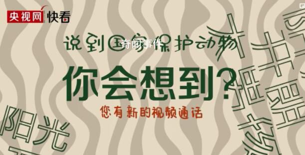 環境保護的耀眼“實績”