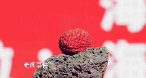 1.2萬元拍單顆荔枝 網(wǎng)友：買個(gè)金鐲子不香嗎