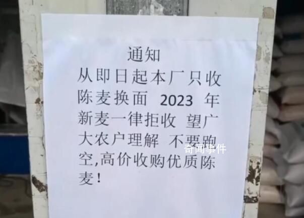 面粉廠不收今年新小麥?當(dāng)?shù)鼗貞?yīng)