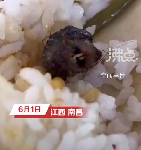 專家談鴨脖爭(zhēng)議:大概率是老鼠頭