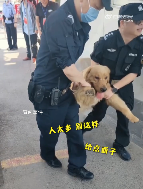 金毛沖進(jìn)考場被民警無情請出 網(wǎng)友：大學(xué)夢就這樣破碎了
