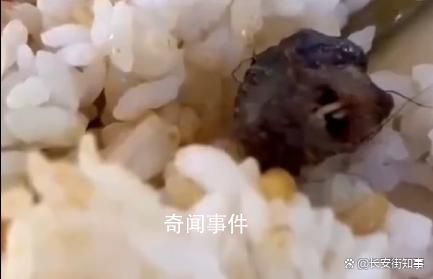 江西成立鼠頭鴨脖事件聯合調查組 