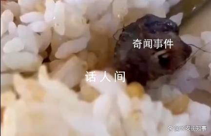 江西酒鴨脖事件成立聯(lián)合調(diào)查組