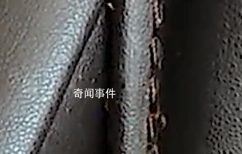 火車(chē)站按摩椅現(xiàn)大量蟲(chóng)子 看著好嚇人