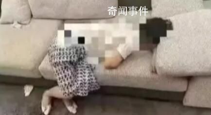 男子舉報妻子被上司帶酒局灌酒 紀(jì)委介入