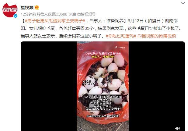 男子趕集買毛蛋到家全變鴨子 稱后續(xù)會飼養(yǎng)這些小鴨子