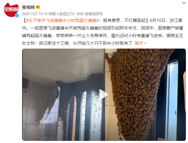 女子家中進(jìn)蜜蜂 半小時被筑超大蜂巢