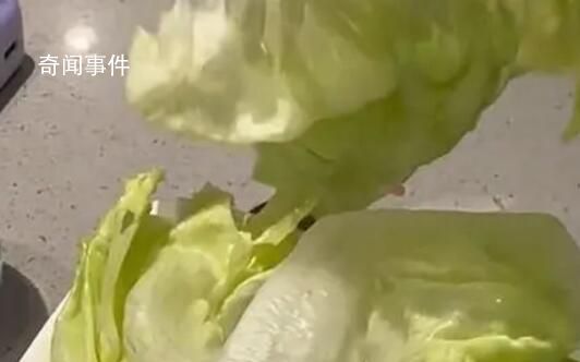 顧客吐槽海底撈8塊錢生菜僅2片 后引發(fā)全網(wǎng)熱議