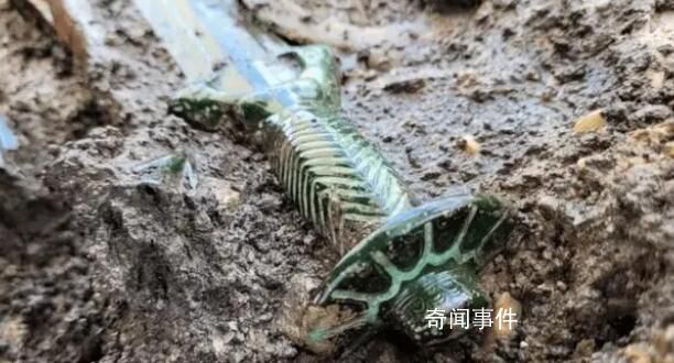 德國發(fā)現(xiàn)3000年前青銅劍 歷經(jīng)3000多年仍未褪色的青銅劍