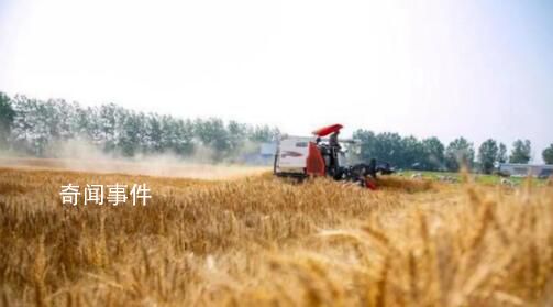 “三夏”農(nóng)忙正當(dāng)時 各地生產(chǎn)一線觀察