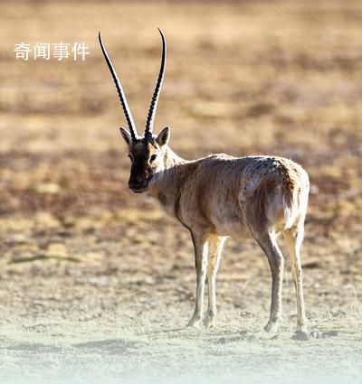 牢牢守住生態(tài)保護(hù)紅線 生態(tài)保護(hù)紅線制度為生態(tài)環(huán)境保護(hù)提供了一種全新模式