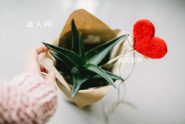 如果人們看得見 赤誠是指人們真實坦誠地表達自己的想法