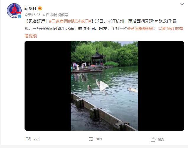 西湖現(xiàn)三條鰱魚(yú)同時(shí)成功躍過(guò)水閘 網(wǎng)友：主打一個(gè)好運(yùn)鰱鰱鰱