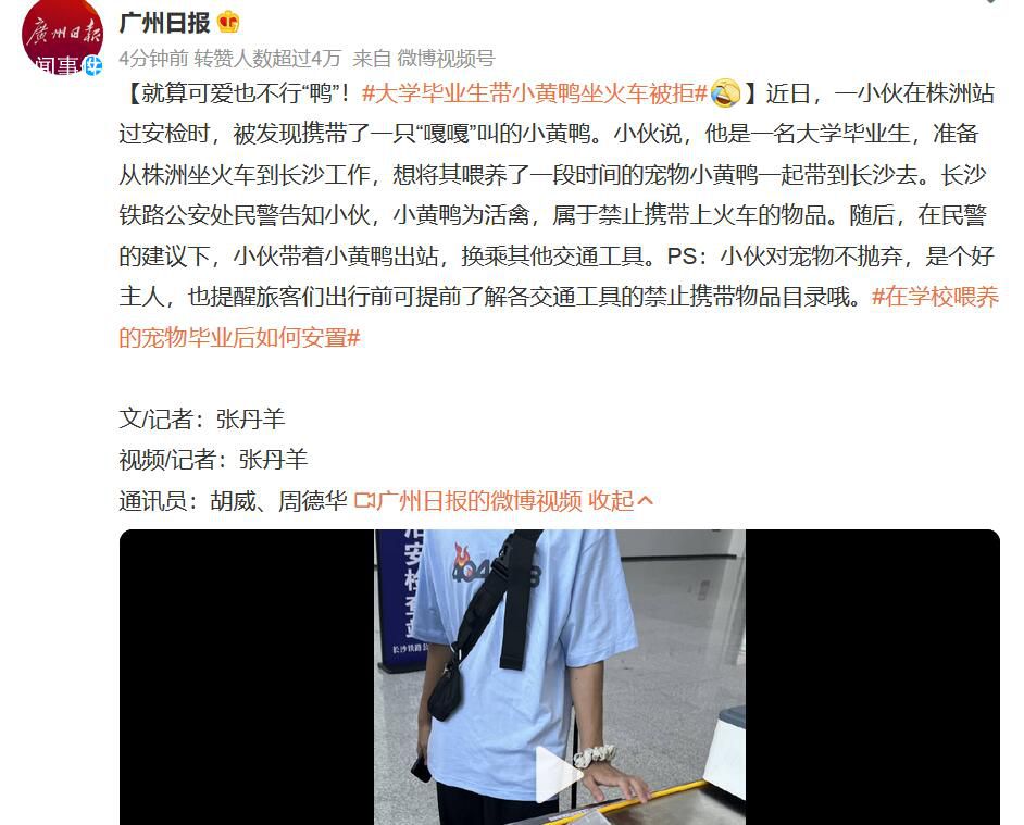 大學畢業生帶小黃鴨坐火車被拒 小伙對寵物不拋棄是個好主人