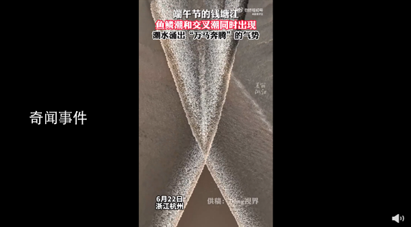錢塘江魚鱗潮仿佛萬(wàn)馬奔騰 氣勢(shì)磅礴