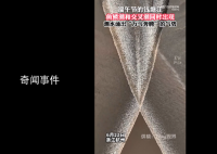 錢塘江魚(yú)鱗潮仿佛萬(wàn)馬奔騰 氣勢(shì)磅礴