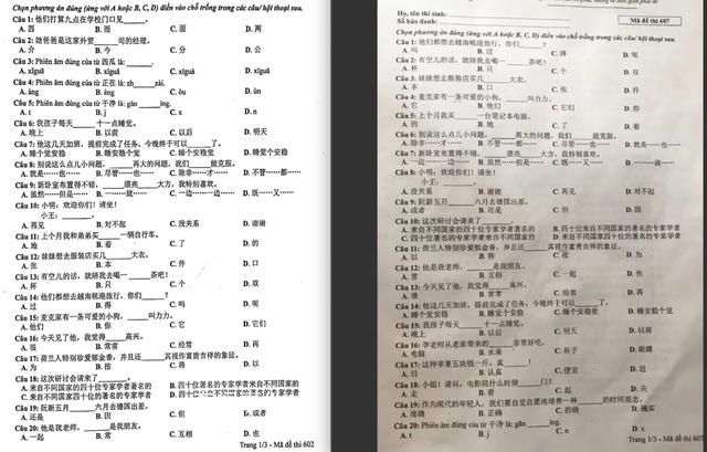 老師稱在越南學(xué)好中文工資更高 引發(fā)網(wǎng)友熱議