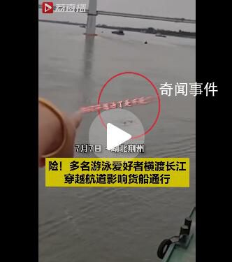 多人游泳橫渡長(zhǎng)江船員大吼避讓 你們不要命了