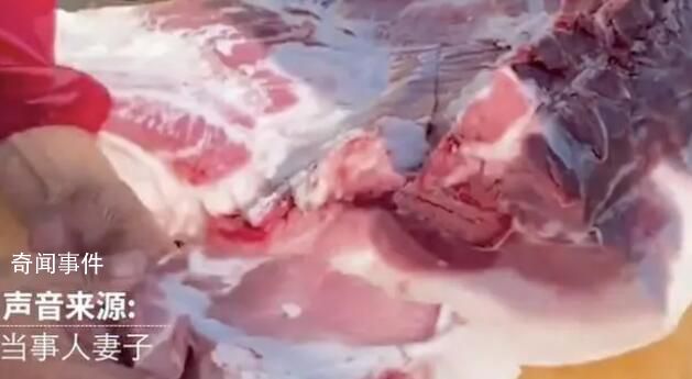 農(nóng)民宰殺家養(yǎng)豬分售700元被罰5萬(wàn) 獲法律援助后改罰5千