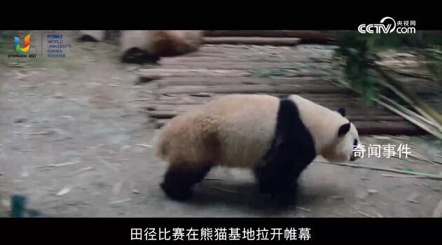 成都動(dòng)起來,世界看過來