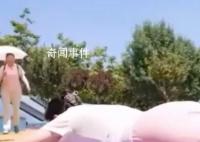 三伏天曬背最佳時間表 三伏天尤其適合曬背