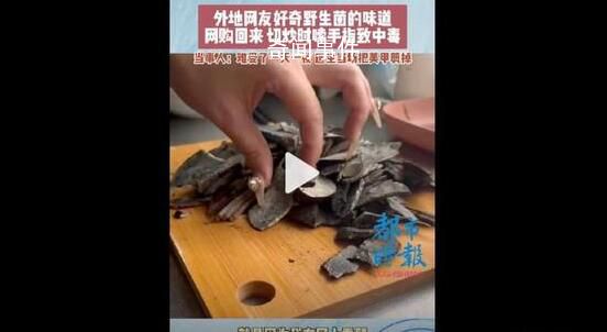 女子切野生菌時(shí)嗦手指致中毒 后來(lái)去醫(yī)院打了吊瓶
