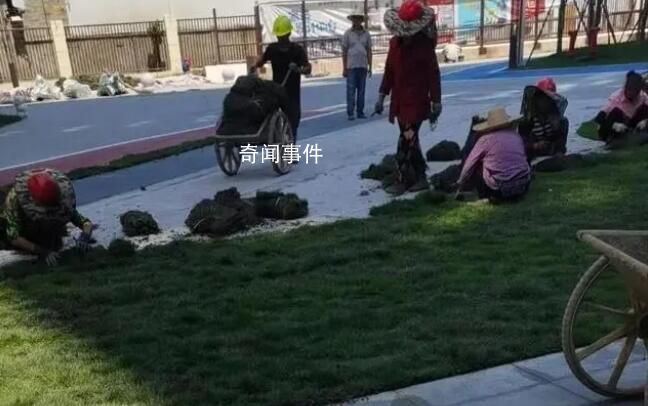 樓盤綠化面積不夠 開(kāi)發(fā)商鋪草坪充數(shù)