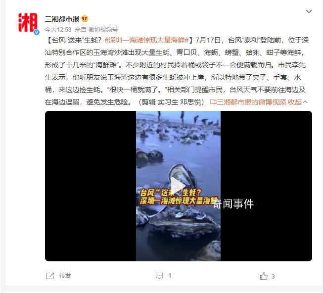 臺風送來大量生蠔海鮮 市民拎麻袋裝