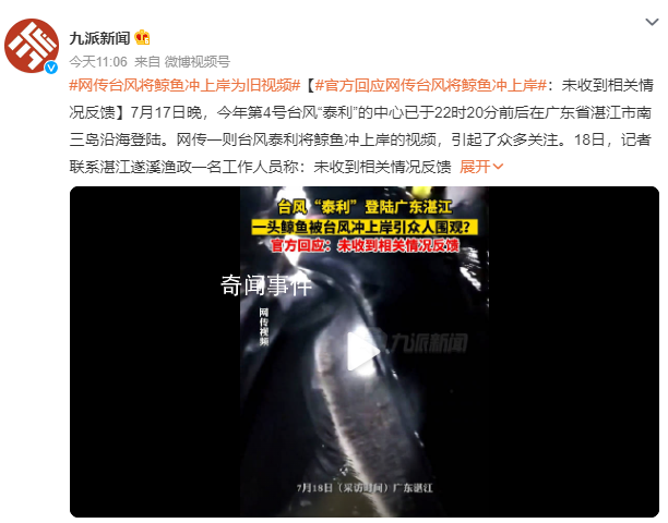 臺風(fēng)將鯨魚沖上岸?官方回應(yīng)